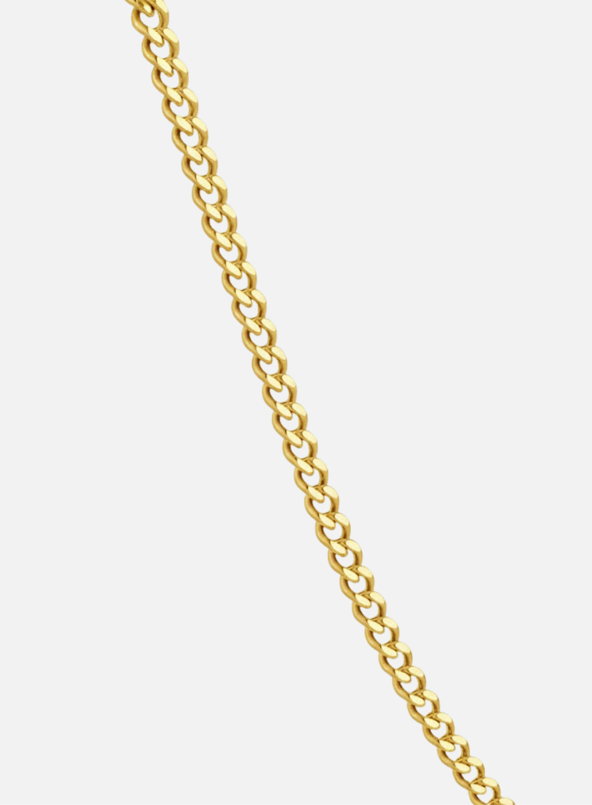 PREMIUM 14K GOLD STAINLESS STEEL