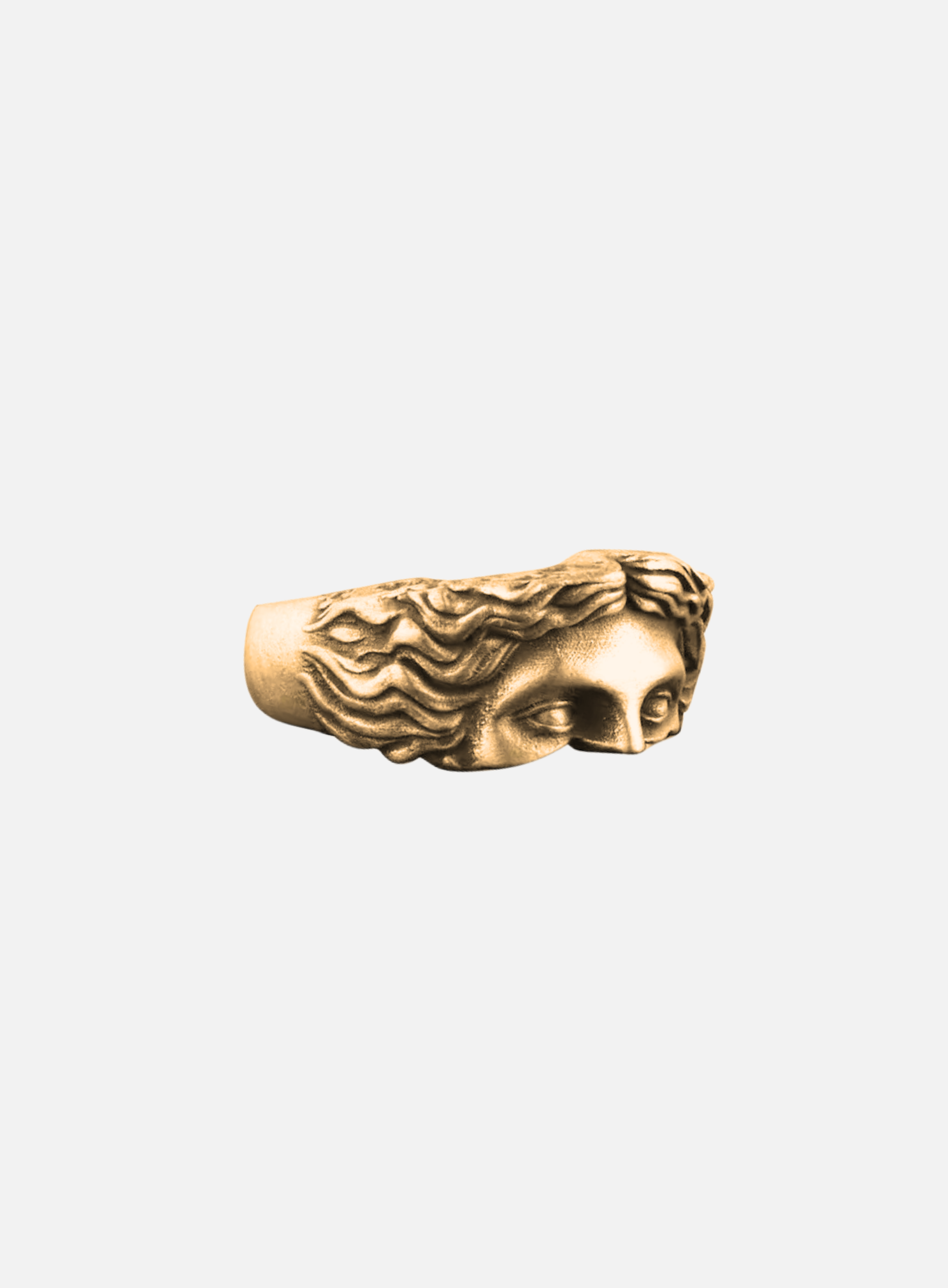PREMIUM 14K GOLD STAINLESS STEEL