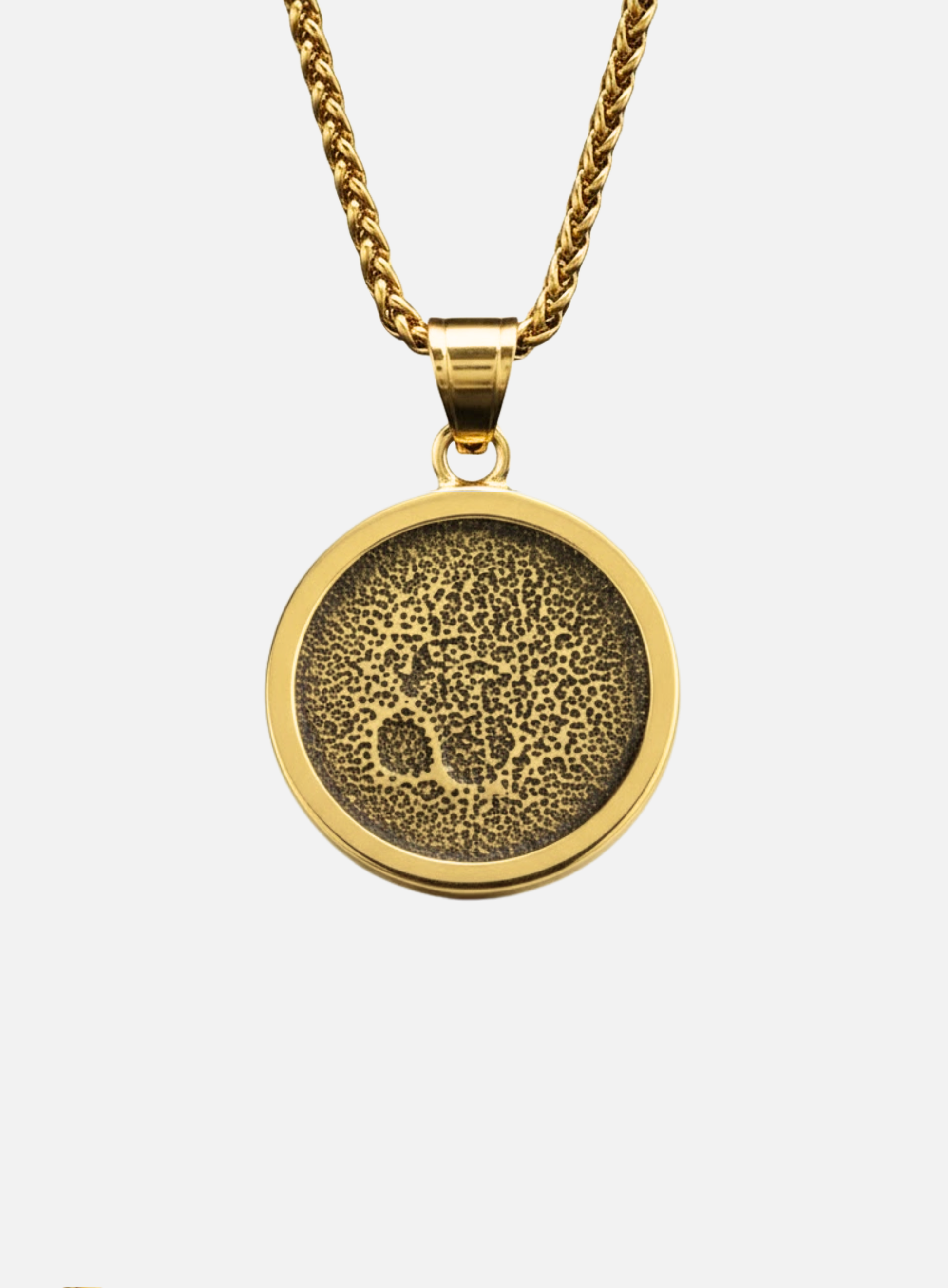 PREMIUM 14K GOLD STAINLESS STEEL